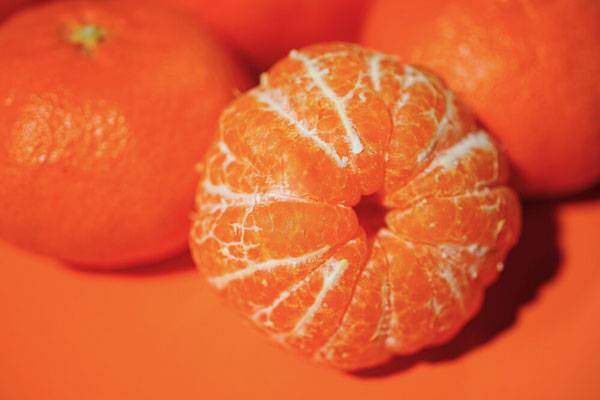 클립아트코리아