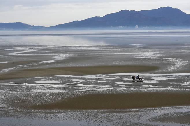 2021년 세계자연유산으로 등재된 고창갯벌. 중앙포토