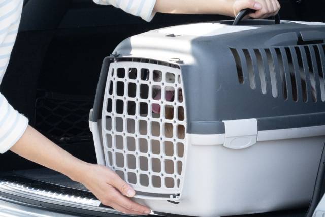 기사 내용과 무관한 이미지.클립아트코리아