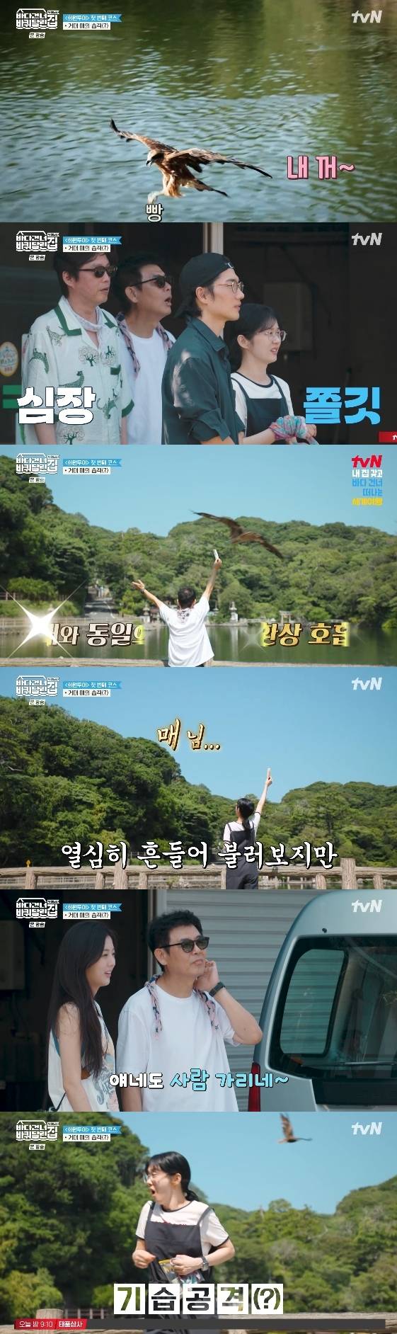 /사진= tvN 예능 프로그램 '바다 건너 바퀴 달린 집 : 북해도 편 2화'