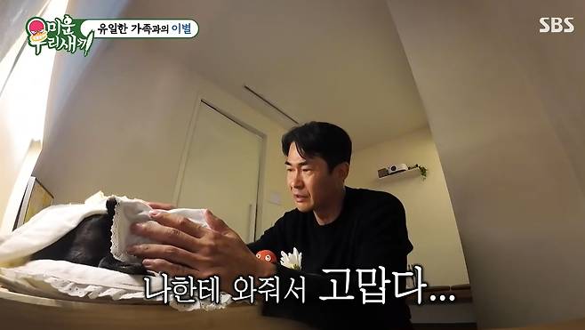SBS '미운우리새끼' 캡처