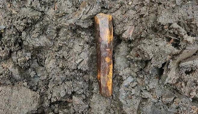 양주 대모산성에서 출토된 목간 [양주시·기호문화유산연구원 제공. 재판매 및 DB 금지]