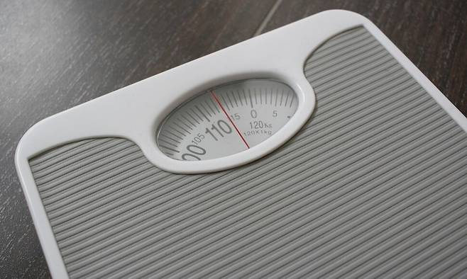 과체중보다 저체중이 건강에 더 위험한 것으로 나타났다. 픽사베이