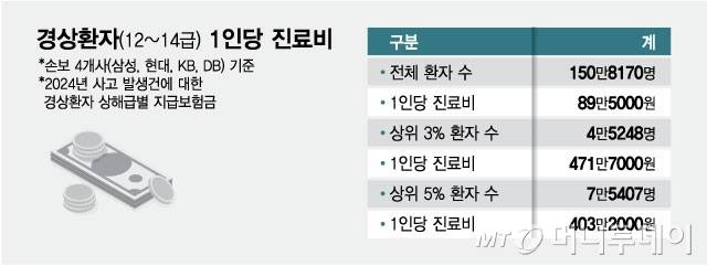 경상환자(12~14급) 1인당 진료비/그래픽=최헌정