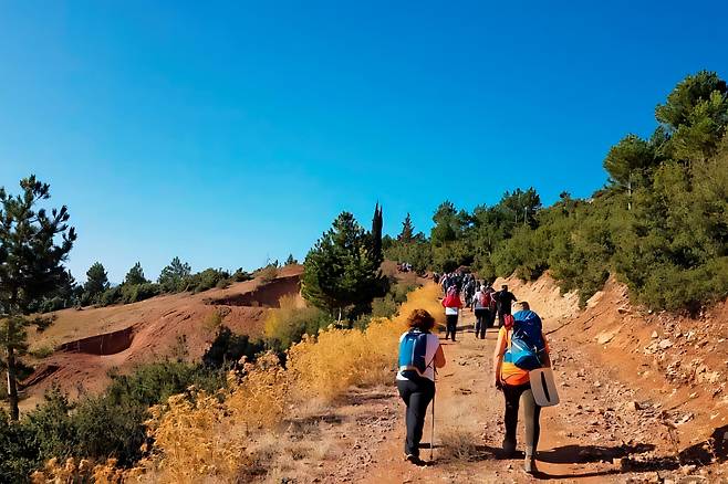 차멜리의 가을 건강 트레킹