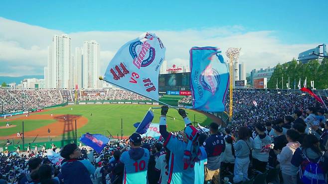 다큐 '다시 나는 갈매기' [부산KBS 제공]