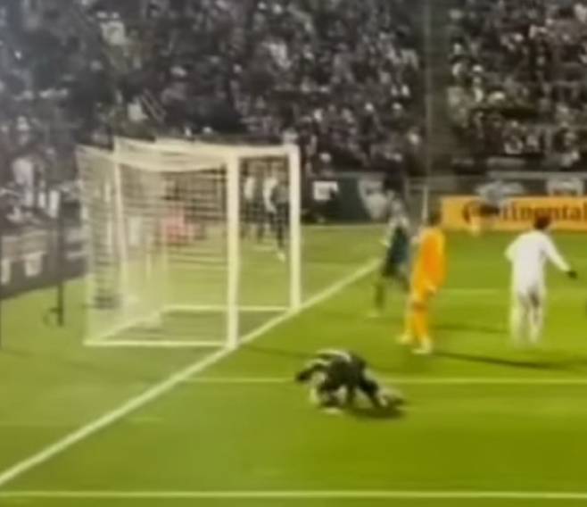 사진=트위터 캡처