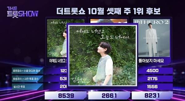 ⓒSBS Life '더 트롯쇼' 캡처