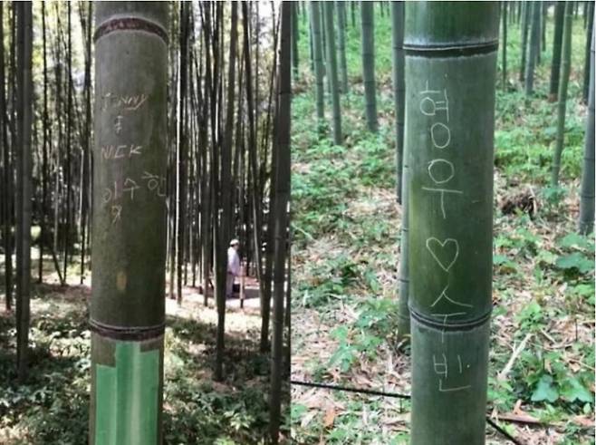 서경덕 교수 제공