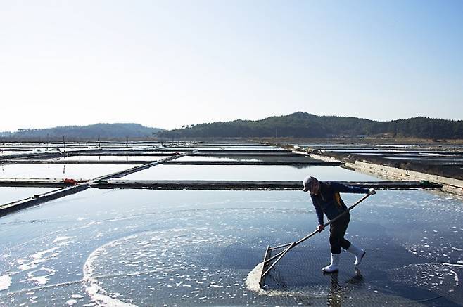 전남 신안군 한 염전에서 지적 장애인에게 수십년간 강제 노동을 시킨 일이 드러났다. /사진=게티이미지뱅크