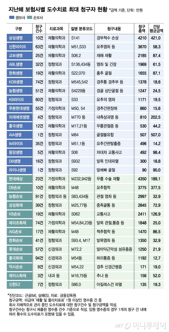 지난해 보험사별 도수치료 최대 청구자 현황/그래픽=김다나