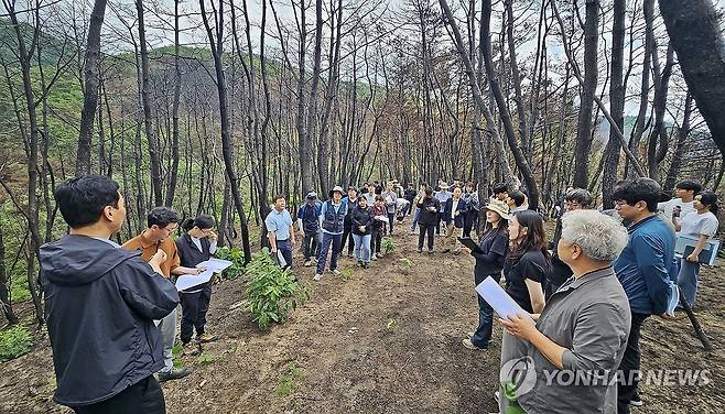 산불 피해 의성 송이산 현장 토론회 [연합뉴스 자료사진]