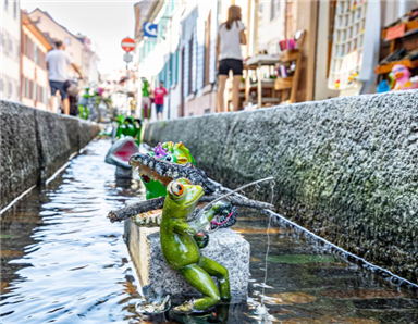 독일 프라이부르크에 만들어진 도심 순환수로, 베히레. (출처:https://visit.freiburg.de/en/freiburger-baechle)