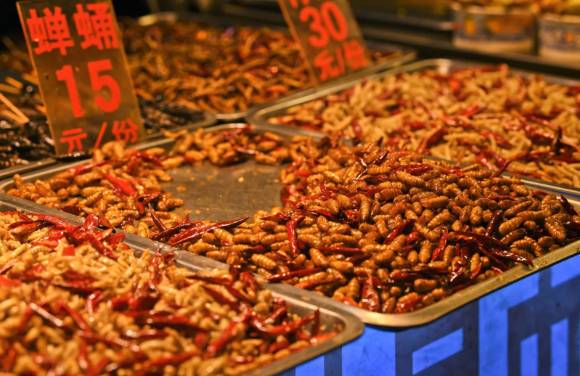 중국에선 이 유충을 조리해서 잘 먹는다고 한다. 사진은 중국에서 판매되고 있는 매미 유충 요리. [사진=바이두 ]