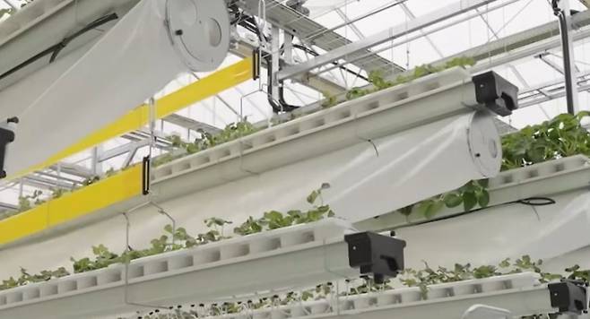 스마트 팜 내부