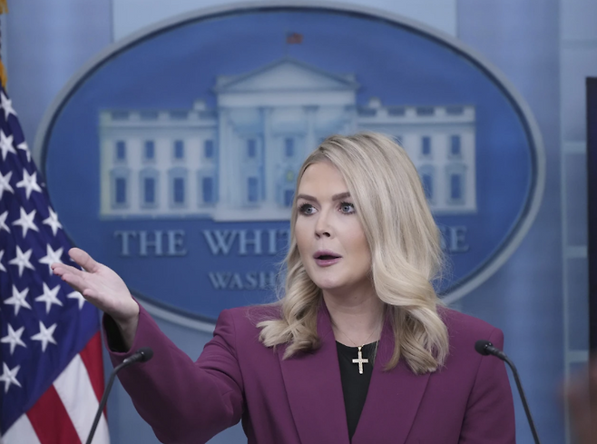 캐럴라인 레빗 백악관 대변인. 백악관 동영상