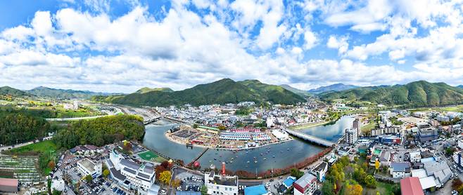 청송사과축제장 전경