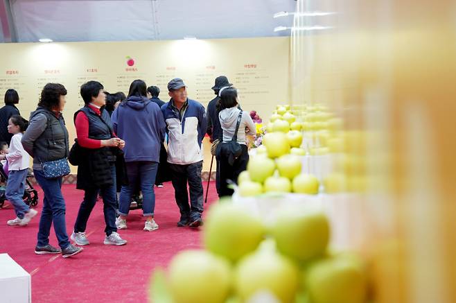 지난해 열린 청송사과축제 사과홍보관. 청송군 제공