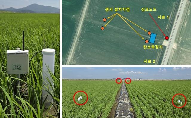 개발된 센서를 이용해 논의 토양 속 양분을 측정하고 있는 모습. 농촌진흥청 제공