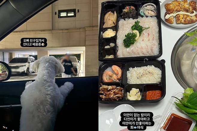 박지윤 소셜네트워크서비스 계정