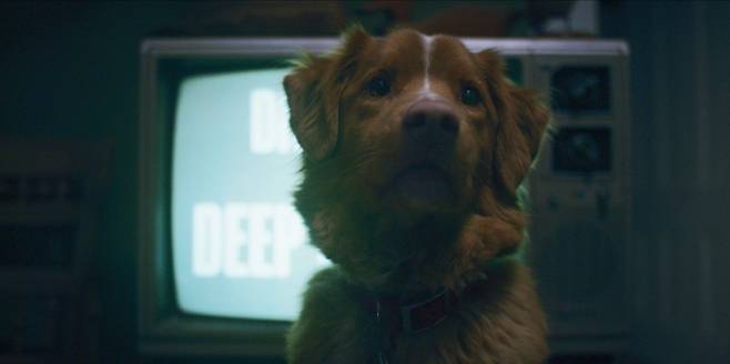 외화 '굿 보이' 스틸컷. 찬란 제공