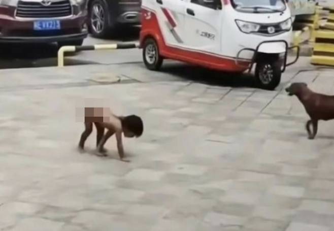 중국의 한 부모가 3살 아들을 발가벗기고 바닥에 기어다니게 하며 짐승처럼 키워 당국이 아동 학대 여부 등에 대한 조사에 나섰다. 자료 : 중국 웨이보