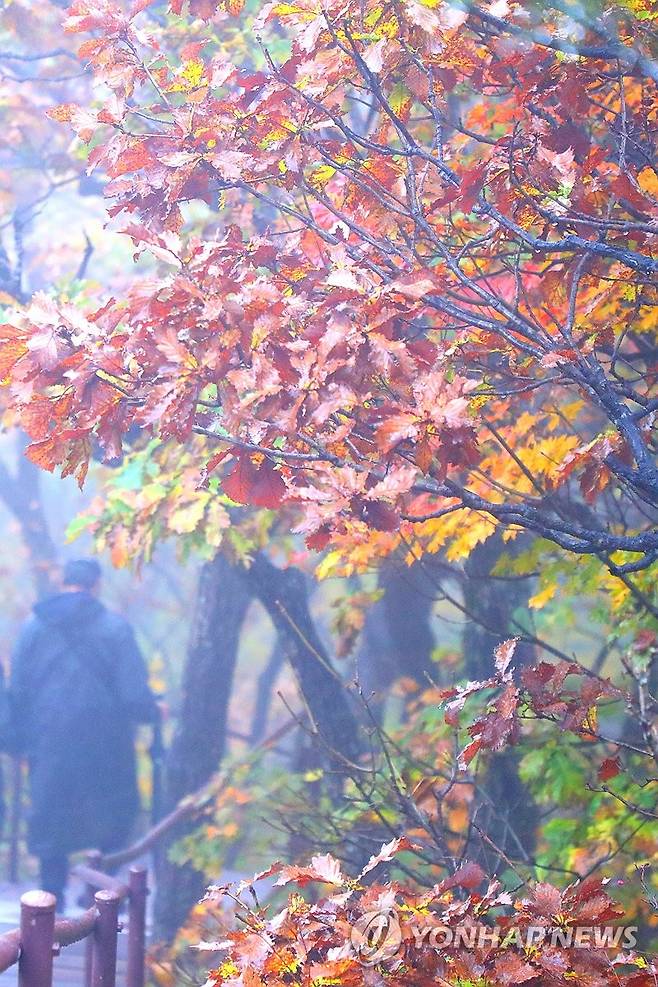 설악산 권금성까지 내려온 단풍 [연합뉴스 자료사진]