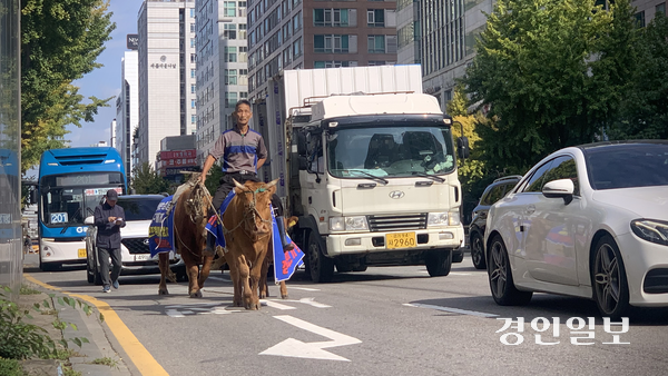 23일 오전 수원시 인계동 8차선 도로 가장자리에서 정면채(65)씨가 민원을 제기하기 위해 황소들을 몰고 수원시청으로 향하고 있다. 2025.10.23 /유혜연기자 pi@kyeongin.com