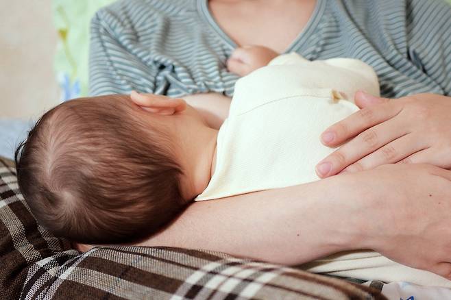 새끼를 낳고 모유 수유를 한 쥐는 새끼를 낳지 않은 쥐보다 암세포가 적게 자랐다는 연구 결과가 발표됐다. 사진=게티이미지뱅크