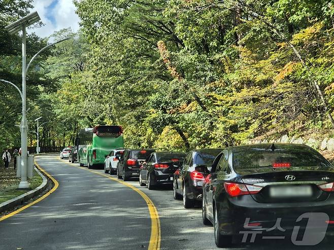 23일 강원 속초시 설악산국립공원 진입도로 일대가 단풍 절정을 맞아 차량들로 붐비고 있다. 2025.10.23/뉴스1 ⓒ News1 윤왕근 기자