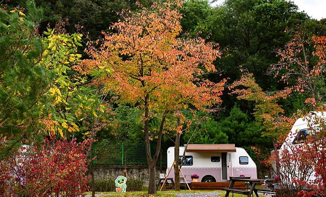청량산을 바라보는 캠핑장&nbsp;휴게시설. 수원시 제공