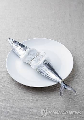 삼치 [연합뉴스 자료 사진]