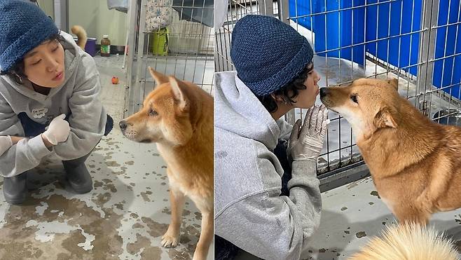 배우 이주영이 보호소 봉사 중 보호견과 교감하고 있다(이주영 제공). ⓒ 뉴스1