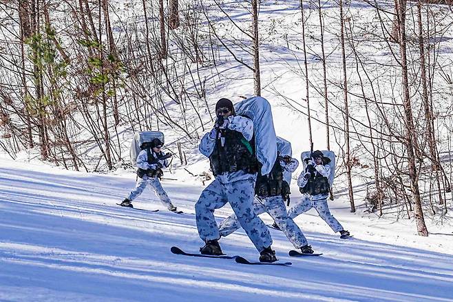 해병대 수색대대 장병들이 지난 2월 평창 산악종합훈련장과 황병산 일대에서 '2025년 동계 설한지 훈련'을 하고 있다. 장병들이 노르딕 스키를 활용해 은밀하고 신속하게 기동하고 있다. /해병대사령부