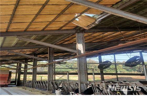 [서울=뉴시스] 지난 2021년 10월 27일 여수의 한 목장 축사에서 발생한 지붕공사 추락사망 사고 현장. (사진=고용노동부 제공) 2021.11.7 photo@newsis.com