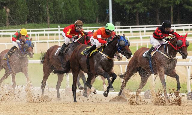 7일 경기도 과천시 렛츠런파크 서울에서 경주마들이 힘차게 질주하고 있다. 2025.9.7 연합뉴스