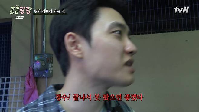 콩콩팡팡 화면 캡처