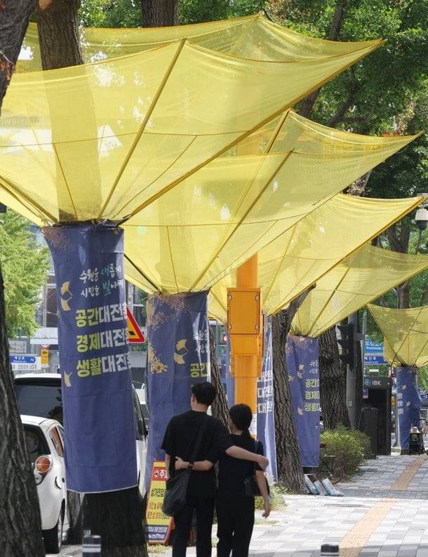 경기 수원시 팔달구 도청오거리 인근 은행나무마다 설치된 '열매 수집망' 밑으로 행인이 걸어가고 있다. /뉴스1