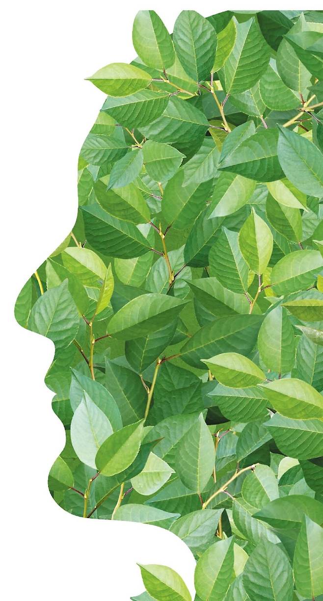 ‘식물엔 뇌가 없으므로 지능도 없다’라는 과학계의 통념을 뒤집는 연구 결과들이 속속 발표되고 있다. 저자는 “식물의 몸 전체가 그 자체로 뇌와 유사한 존재일지도 모른다”고 말한다./게티이미지뱅크