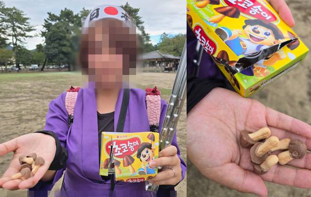 일본인 인플루언서 시짱이 나라현 사슴 공원에서 한국 과자를 발견했다며 공개한 사진. 엑스(X·옛 트위터) 갈무리