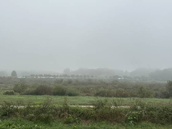 A misty start to the day in Mungyeong, North Gyeongsang, on Sept. 30. [JIM BULLEY]