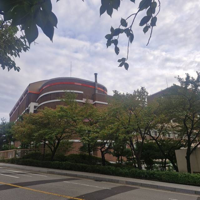 무악현대 아파트 단지 내 조경. 박형윤 기