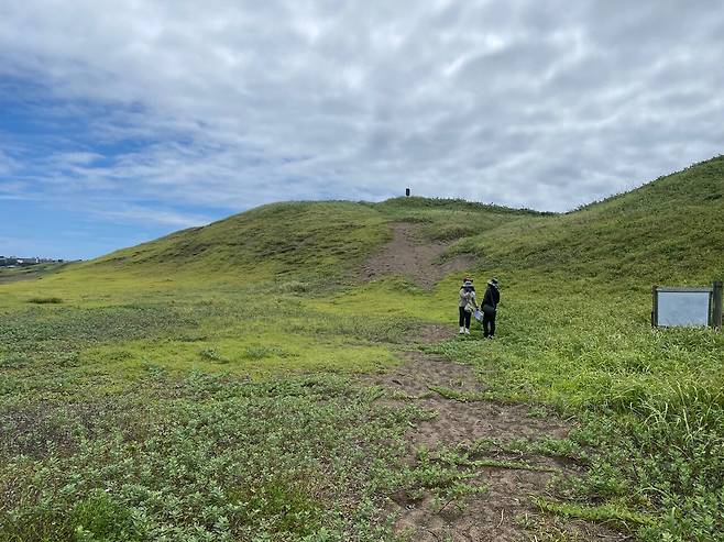 신양 해안사구. 사진=제주자연의벗.