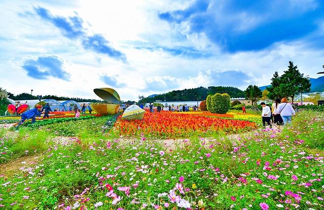 거제섬꽃축제 / 사진-거제농업기술센터