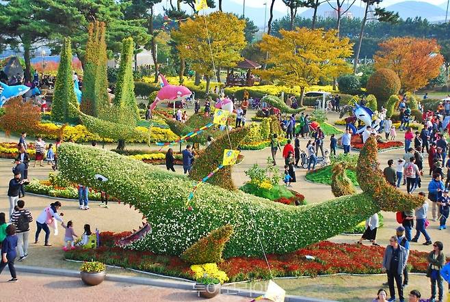 거제섬꽃축제 / 사진-거제농업기술센터