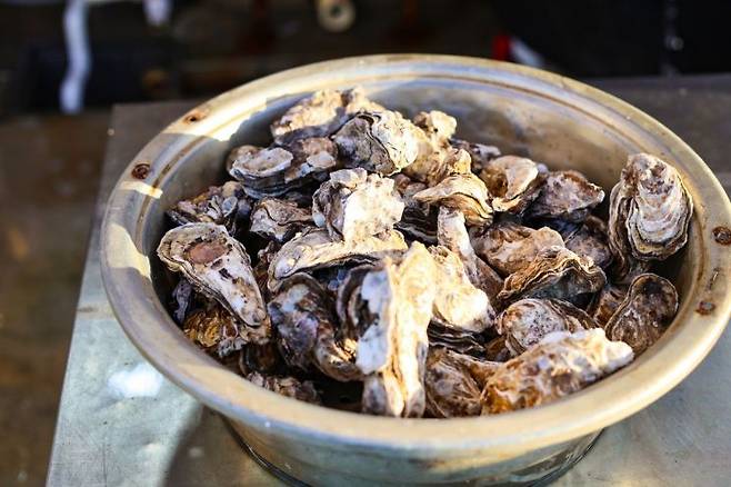 11월15일부터 보령에서 천북 굴축제가 열린다