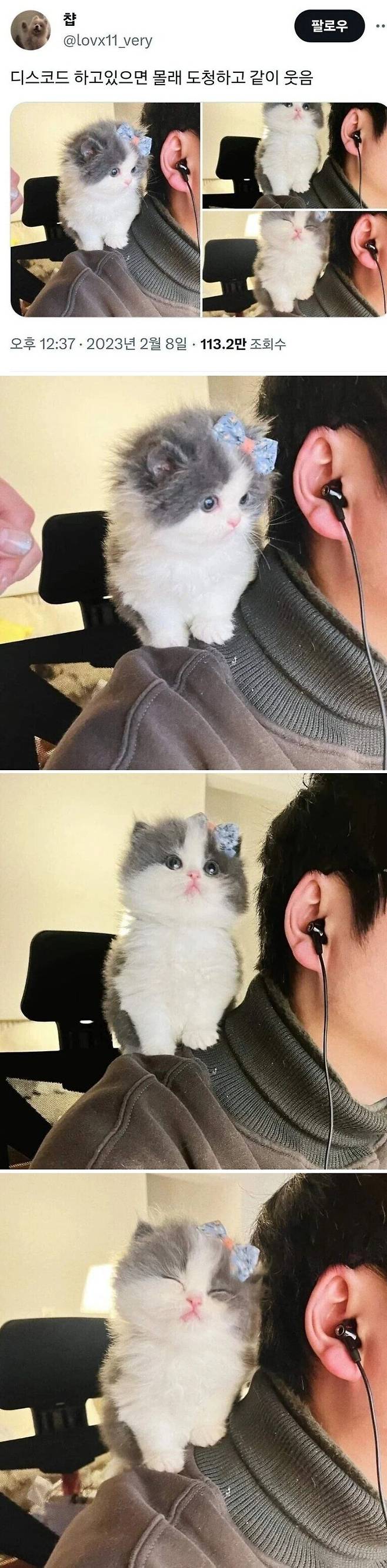 디스코드 도청범.jpg | 에펨코리아