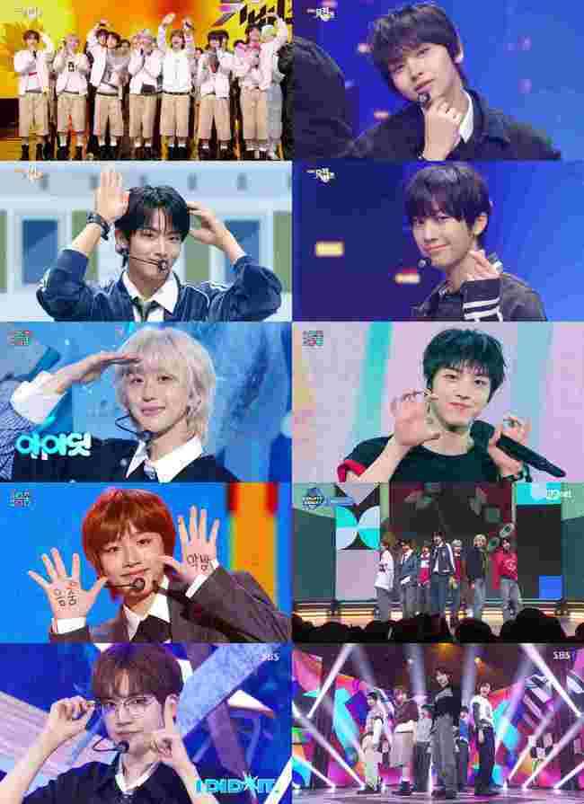 사진=각 방송사 방송 캡처