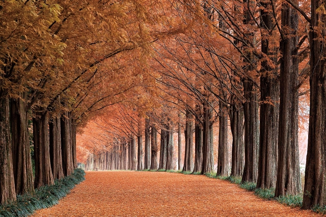 문화체육관광부