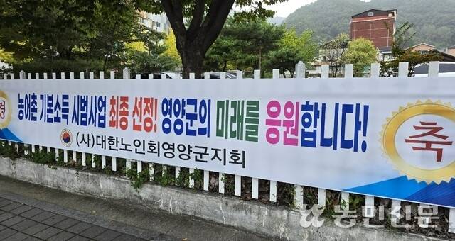 경북 영양군 영양읍에 게시된 농어촌 기본소득 시범사업 선정을 축하하는 현수막.